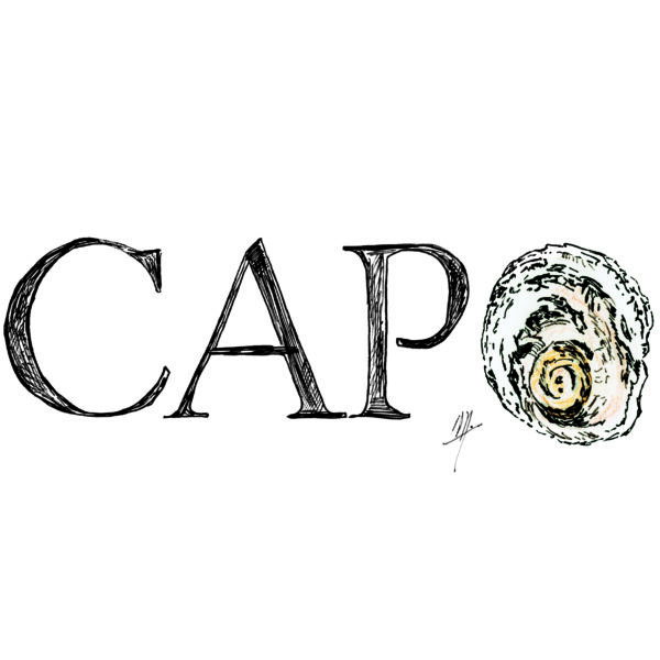 CAPO - Edition ouverte Fine ART